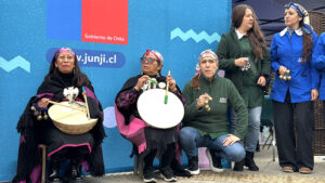Lee más sobre el artículo Destacan la educación intercultural en la V Muestra de Prácticas Educativas de Pueblos Originarios