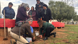 Lee más sobre el artículo Jardín infantil inaugura “Sendero Peti” y mejoras de infraestructura en el marco de su 28 aniversario