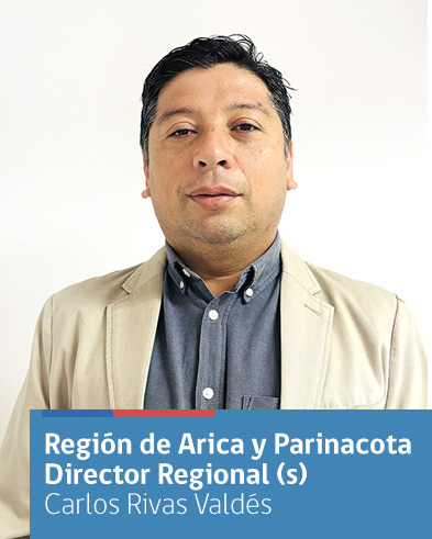 Carlos Rivas Valdés, director regional (s) de Arica y Parinacota