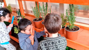 Lee más sobre el artículo Jardín Infantil “Pequeños Abracitos” de Máfil culminó proyecto que fortalece prácticas educativas sustentables