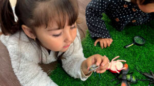 Lee más sobre el artículo Jardín Infantil “Quri Mayiri” invita a descubrir el mundo de los insectos