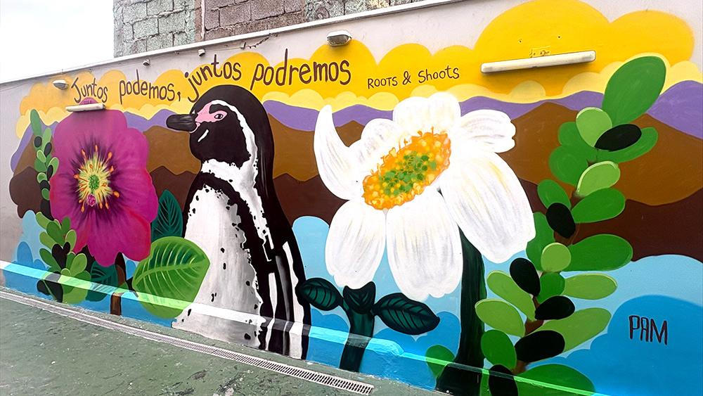 En este momento estás viendo Mural inspirado en la biodiversidad del norte de Chile transforma espacios del Jardín Infantil “Nubecitas del Norte”
